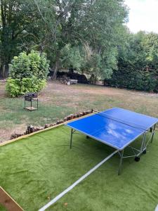 Table tennis facilities sa Villa bellevue o sa malapit