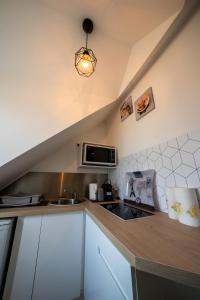 uma cozinha com um lavatório e um micro-ondas em la merveille de Rochebonne 3 em Saint Malo