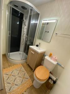 y baño con aseo, lavabo y ducha. en Cocoon Room - jacuzzi, en Sémoy