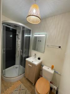 ein Bad mit einer Dusche, einem WC und einem Waschbecken in der Unterkunft Cocoon Room - jacuzzi in Sémoy