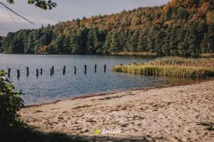 プシビツにあるPółwysep Zacisze - Tiny House Villageの水中の木柱がある湖