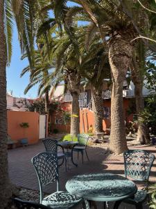 a patio with tables and chairs under palm trees at The Secret Garden Guesthouse in Swakopmund