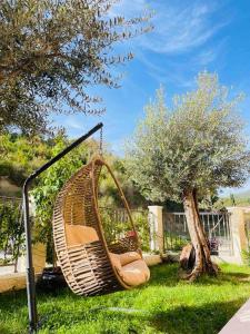 a hammock hanging from a tree in a yard at Apartmani Sport Igalo in Herceg-Novi