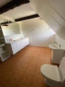 y baño con aseo y lavamanos. en Dyrlundgaard tilbyder charmerende ferielejlighed., en Helsinge