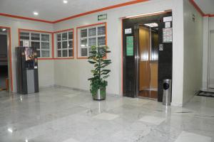a lobby with a plant in front of a door at Hotel Castro in Mexico City