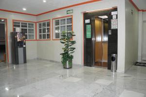 a lobby with a plant in front of a door at Hotel Castro in Mexico City
