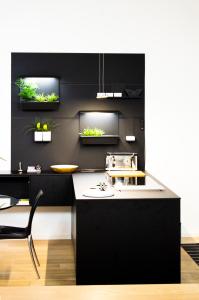 una cocina negra con plantas en la pared en Puro-Design-Apartment Deluxe - very central, en Múnich