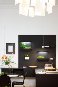 eine Küche mit einer schwarzen Wand mit Pflanzen drauf in der Unterkunft Puro-Design-Apartment Deluxe - very central in München