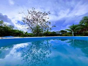 a blue swimming pool with a tree in the background at Sítio no Litoral Norte para curtir! in Subaúma