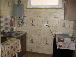a kitchen with a sink and a wall with wallpaper at guest house merab in Borjomi