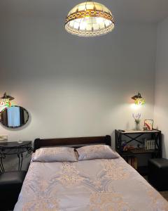Odessa的住宿－Атмосферная квартира в центре Одессы，一间卧室配有一张床和一个吊灯