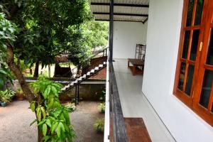 Zahrada ubytování Lion Home Stay Anuradhapura + 28 fotografií