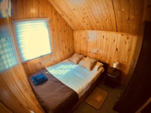 a bed in a wooden room with a window at Cabañas Queltehue Ltda in Ancud