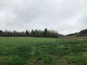 Gallery image of Tentrr Signature Site - Dreamroad Farm Pine Tree in Johnstown