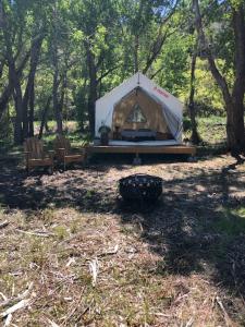 a tent in the middle of a field with trees at Tentrr Signature Site - Los Pinos River Camp in Bayfield