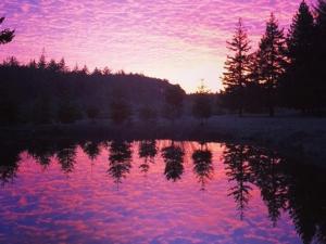 a sunset over a lake with a pink sky at Tentrr - Cranberry Overlook at Black Moon Farms in Langlois