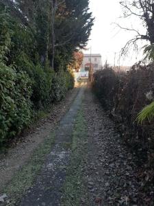 Vonkajšia záhrada v ubytovaní Petite maison très paisible avec jardin à Cournon - Puy de Dôme !