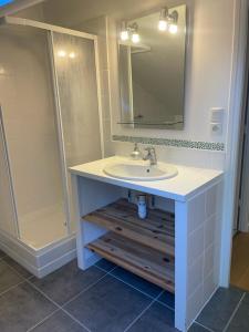 un bagno con lavandino e doccia di Gîte de la Mignonerie du Château de Jallanges pour 19 personnes avec 4 ou 7 chambres a Vernou-sur-Brenne