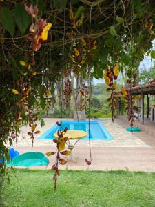 un montón de fruta colgando de un árbol junto a una piscina en CHÁCARA GODOI - Meu Paraíso, en Itu