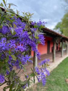 um arbusto de flores roxas em frente a um edifício em CHÁCARA GODOI - Meu Paraíso em Itu