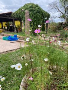 a garden with white and pink flowers in the grass at CHÁCARA GODOI - Meu Paraíso in Itu