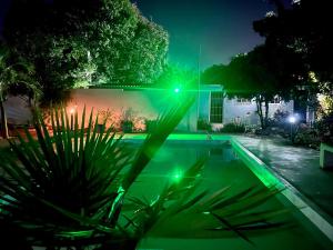 una piscina por la noche con luces verdes en Happy Turtle Apartments en Willemstad