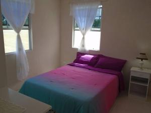 1 Schlafzimmer mit einem Bett mit lila Laken und Fenstern in der Unterkunft Simply Beautiful Two Storey home/apt awaits you in Saint James