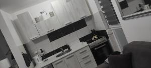 O bucătărie sau chicinetă la Divcibare As apartmani