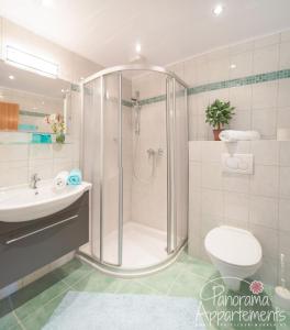 a bathroom with a shower and a toilet and a sink at Panorama Appartement in Ramsau am Dachstein +46 photos