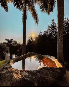 een zwembad met water in een park met palmbomen bij Confraria Colonial Hotel Boutique in Mairinque