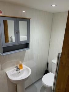 a bathroom with a sink and a toilet and a mirror at Whistley View in Brackley