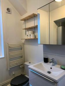 ein Badezimmer mit einem weißen Waschbecken und einem WC in der Unterkunft Appartement Cosy Au Sein De La Venise Normande in Pont-Audemer