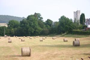 a field full of hay bales in a field at The Tanners Arms in Devynock
