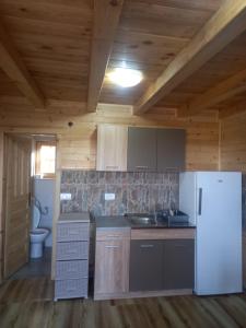 Kuhinja oz. manjša kuhinja v nastanitvi Apartmani Milojević