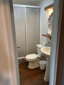 a bathroom with a toilet and a sink at 4 Habitación Privada Cama Matrimonial in Puerto Varas