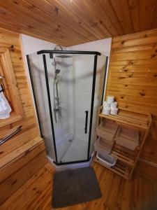 a glass shower in a room with wooden walls at Domek JEZIORACZEK in Urowo