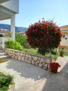 Zahrada ubytování Apartman Katica