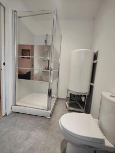 Kúpeľňa v ubytovaní La féline - Duplex - Vieux Valenciennes - Familial