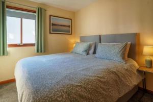 a bedroom with a bed with blue pillows and a window at Ground Floor 1 Bed Apartment with Twin/King option in Broughton in Furness