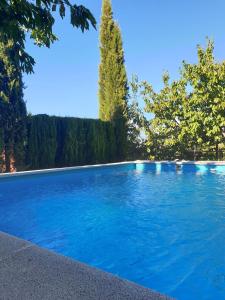 une piscine bleue avec des arbres en arrière-plan dans l'établissement Casas Rurales El Cerro y El Cerezo, à Navaconcejo