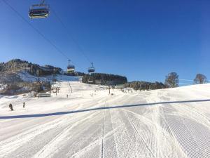 Chalet an der Piste v zime