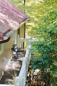 Zahrada ubytování The Wanderer Guesthouse