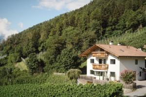 una casa in un vigneto con una montagna di Villa Vitis a Rifiano