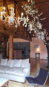 Hostería Boutique Fuegos del Sur في أوشوايا: غرفة معيشة بها أريكة بيضاء و شجرة