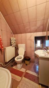 uma casa de banho com um WC e um lavatório em Casa de langa rau RUCAR em Rucăr