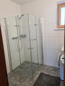 a shower with glass doors in a bathroom at Haus Renate in Wolfurt
