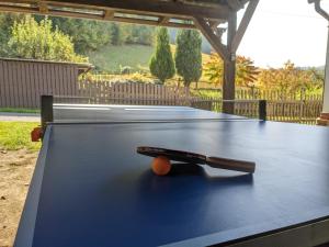 Stolný tenis v ubytovaní Chaloupka na konci světa alebo v jeho okolí