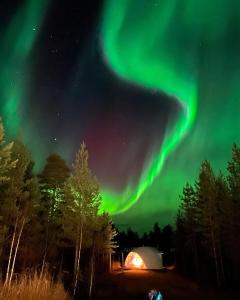 une image des lumières du nord dans le ciel dans l'établissement Pandomes Aurora Igloo Hotel, à Rovaniemi