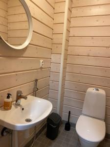 a bathroom with a white sink and a toilet at Pandomes Aurora Igloo Hotel in Rovaniemi