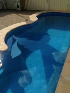 a swimming pool with blue water in a house at MURRAY GRANGE VILLA 4 in Yarrawonga